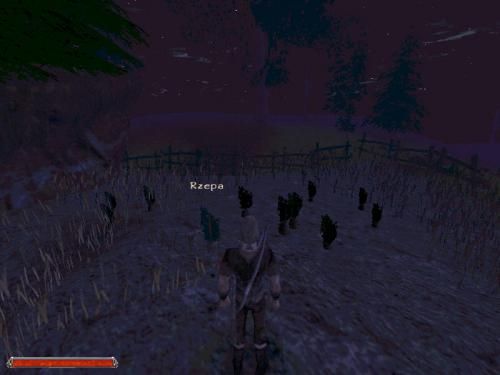 Gothic 2 000435,6